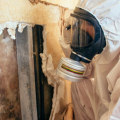 Navigating Mold Remediation In Tri-Cities: A Guide For Investing In Condominiums