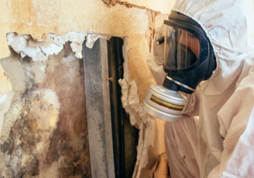 Navigating Mold Remediation In Tri-Cities: A Guide For Investing In Condominiums